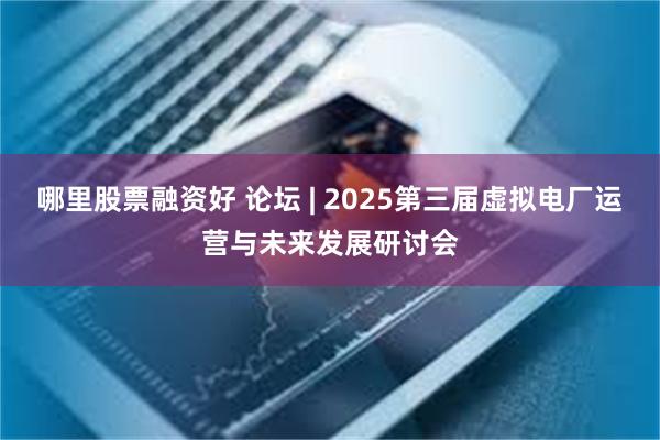 哪里股票融资好 论坛 | 2025第三届虚拟电厂运营与未来发展研讨会