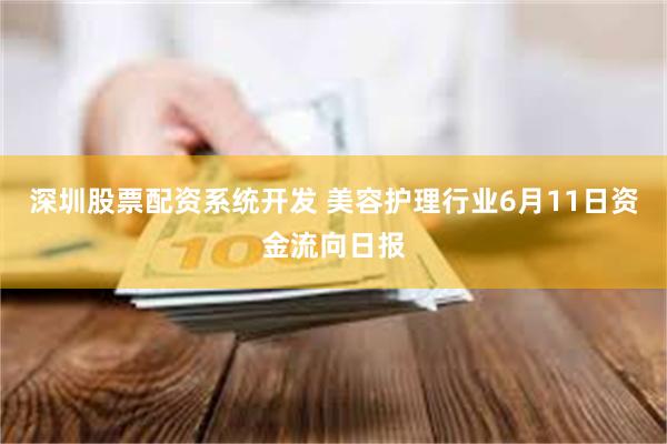 深圳股票配资系统开发 美容护理行业6月11日资金流向日报