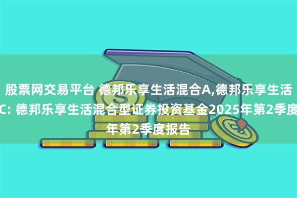 股票网交易平台 德邦乐享生活混合A,德邦乐享生活混合C: 德邦乐享生活混合型证券投资基金2025年第2季度报告