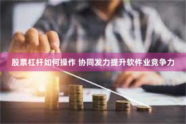 股票杠杆如何操作 协同发力提升软件业竞争力